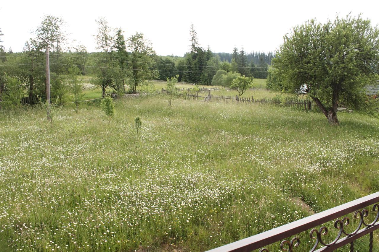 Dzvin Karpat Villa Lazeshchyna Exterior photo